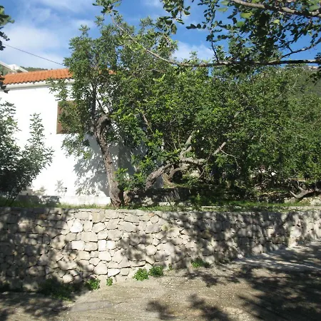 Bako 3*