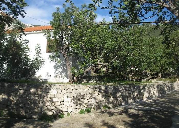 Bako 3*