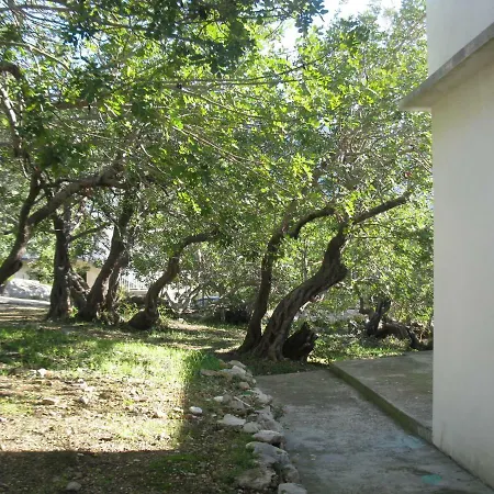 Πανσιόν Bako Komiža