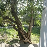 Bako 3*