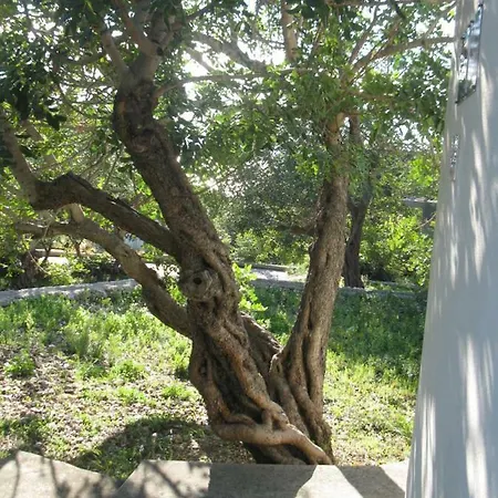 Bako 3*
