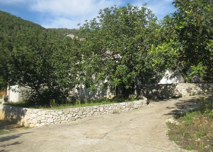 Pensión Bako