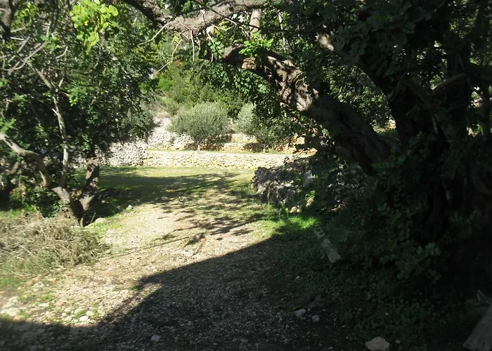 Pensión Bako